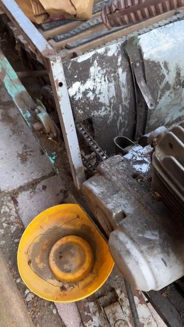 Что за зверь этот Тигр #устьилимск #сибирь #саморазвитие смотреть онлайн