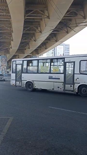 ПАЗ 3204 [Н663ВН 152] на маршруте 203 г.Нижний Новгород. #нижегородскаяобласть #газель #транспорт смотреть онлайн