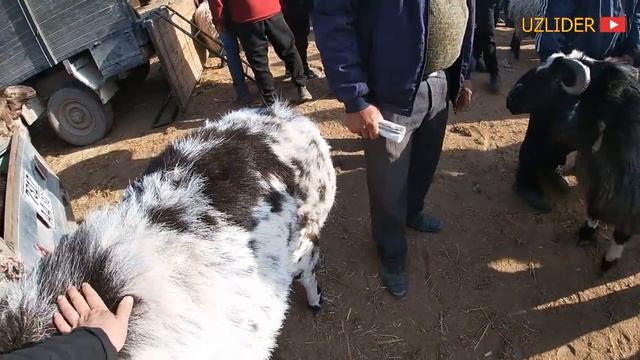 ХОРАЗМ КУ́Й БОЗОР НАРХЛАРИ 7-АПРЕЛЬ (БОГОТ)