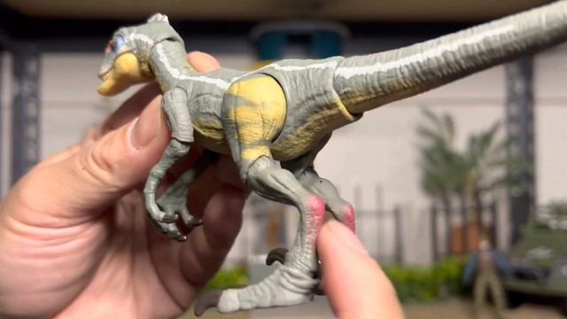 Jurassic World Hammond Collection Jurassic Park 3 Velociraptor Figure Review Mattel #jurassicpark