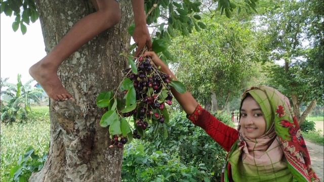 দোয়েল এগ্রো তারা কে বিয়ে করবেনা তালিম কিন্তু কেন l Doyel Agro #villagelifewithshompa #doyelagro смотреть онлайн