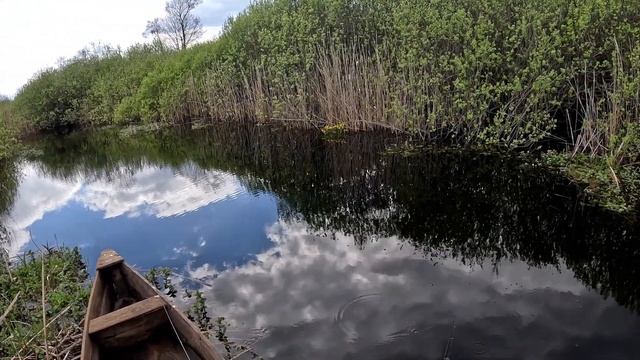 Перший виїзд 2023 на рибалку на стохід. Гарна природа смотреть онлайн