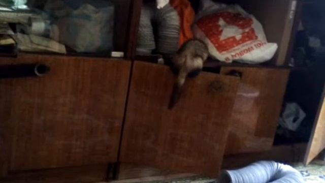 Фрося наводит свои "порядки". смотреть онлайн