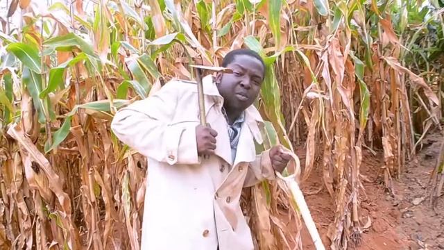 MOYO - Alfred Tambala {Music video} смотреть онлайн
