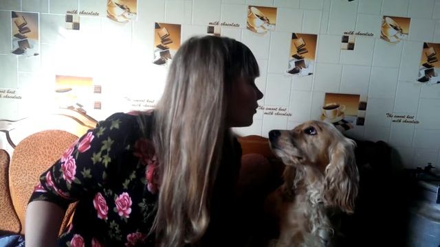 Наш любимый пес,поет песни смотреть онлайн