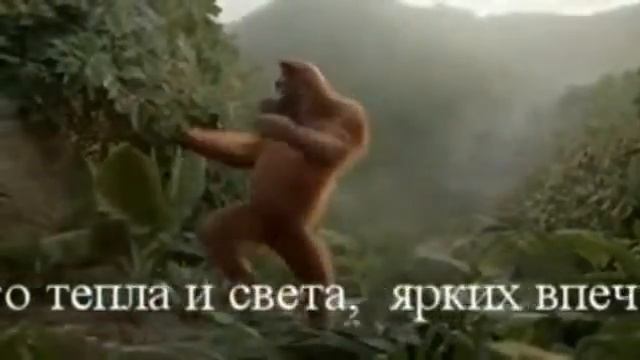 Макака кайфует смотреть онлайн