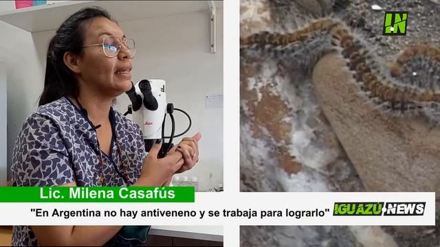 Lonomia Final смотреть онлайн