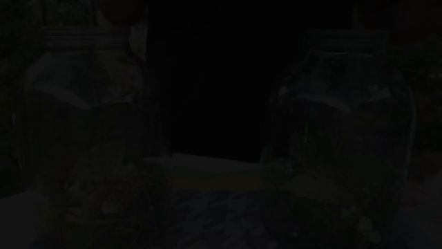 Невероятный секрет Хрустящих Маринованных Огурцов смотреть онлайн