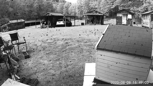 Evidence: SURVEILLANCE Camera Third Party (Stalkers) INTERFERENCE 8/8/20 4:48pm смотреть онлайн