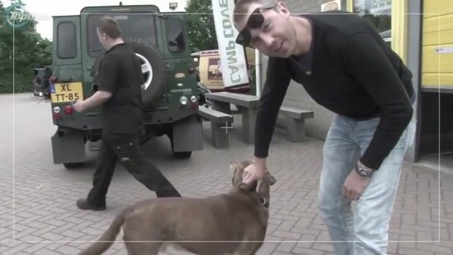 AUTOTIME вместе с TopGear Russia едут в Лондон! смотреть онлайн