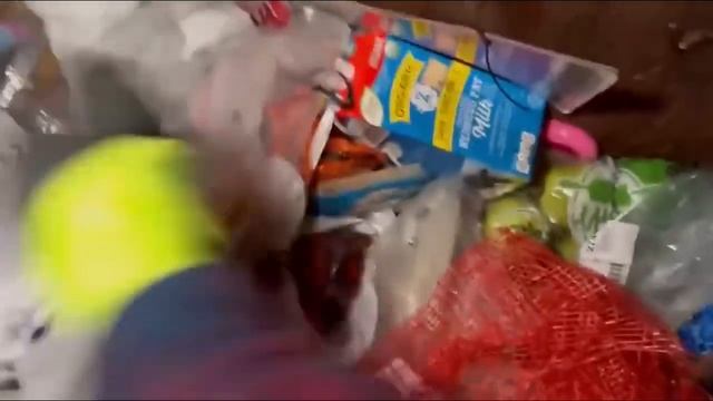 Dumpster Diving Aldi #481 смотреть онлайн