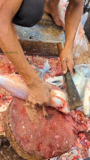 Alive Pangas Fish!! Wow Fast Pangas Fish Cutting Skills 😱😲 #shorts смотреть онлайн