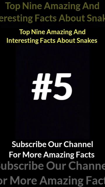 Top Nine amazing and intresting facts about snakes #facts #shorts смотреть онлайн