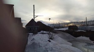 Отпугивание диких уток и цапли от озера