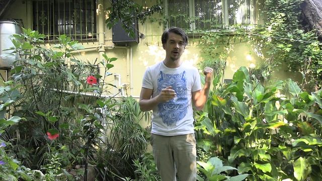 Mistakes that damaged my permaculture eco system смотреть онлайн
