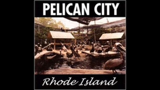 pelican city - the movie theater смотреть онлайн