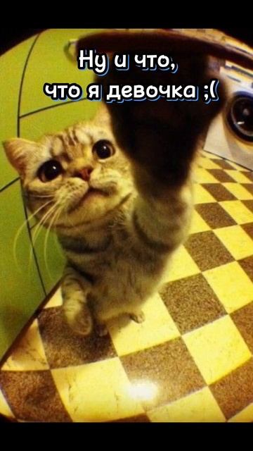 Андрей чикатило 😂 смотреть онлайн