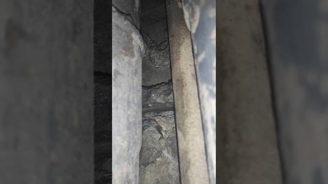 2023-8-8 (3) смотреть онлайн