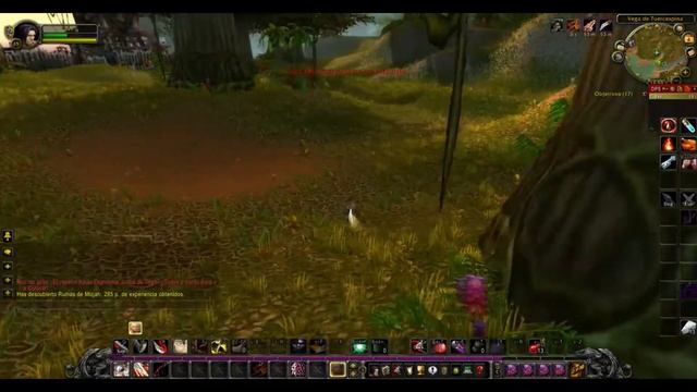 Bxv - Pícaro Sutileza World PvP 3.3.5 (Warmane) смотреть онлайн