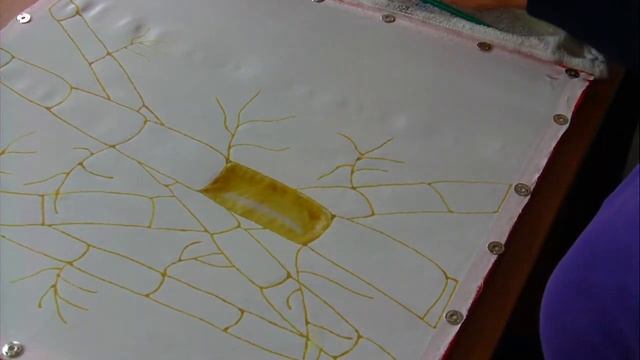 JanetArt.com - Blending silk dyes wet into wet смотреть онлайн