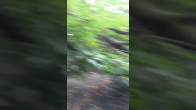 Гроза в Киеве на Акодеммистечко смотреть онлайн