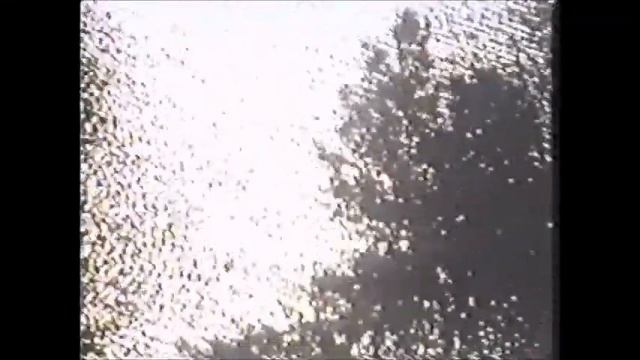 Adano Ley's ~ Eco Optik, Slow Ovum {rough edit}. смотреть онлайн