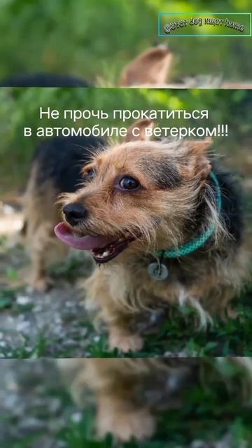 Мисс Фрея смотреть онлайн