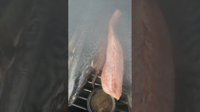 горячее копчение рыбы и свиной грудинки. смотреть онлайн