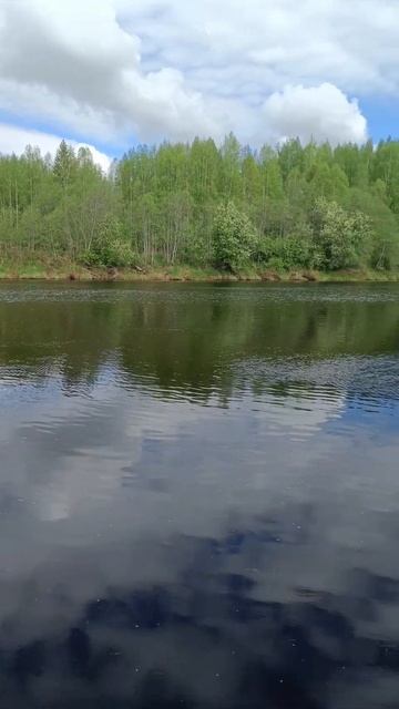 Река и пение птиц с утра. смотреть онлайн