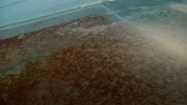 В Красноармейском районе построили семейную ферму по выращиванию форели смотреть онлайн