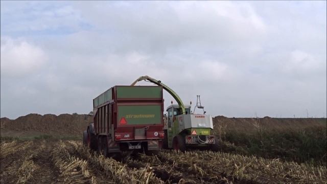 Modderen in de mais 2017/Stuck in the mud/Claas Jaguar 860/ten Hove/Maishäckseln смотреть онлайн