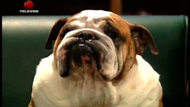 Noche de Perros con Astrid Carolina Herrera (Parte 2-Final) смотреть онлайн