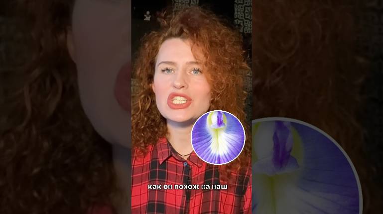 Причем тут клитер?