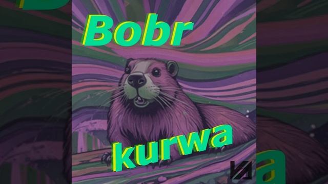 Bobr Kurwa