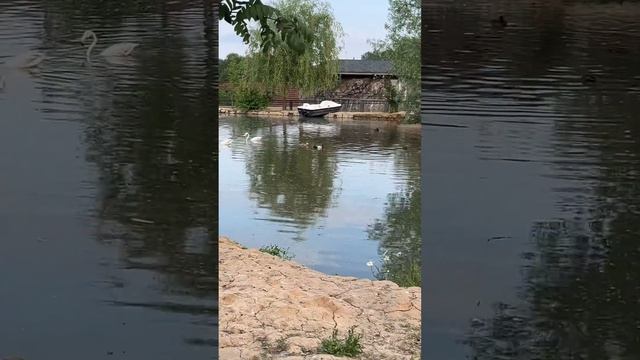 Лучший зоопарк в Москве и это не центральный московский зоопарк!! смотреть онлайн
