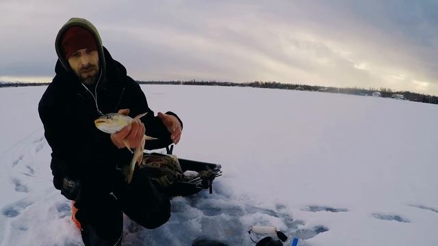 20/21 ice fishing Artic char smack down смотреть онлайн