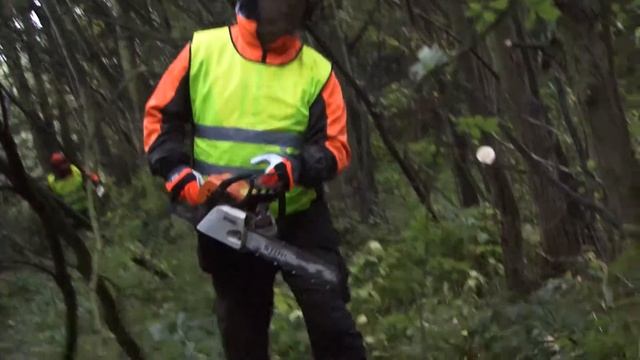 Chameleon Landscaping - Commercial Advert смотреть онлайн