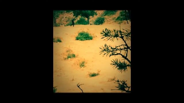 Part 9 Kitara dan adam olmaz смотреть онлайн