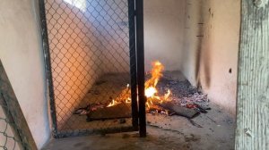 Чем обработать курятник от инфекции, блох, паразитов, клещей и даже Марека ☝️😉