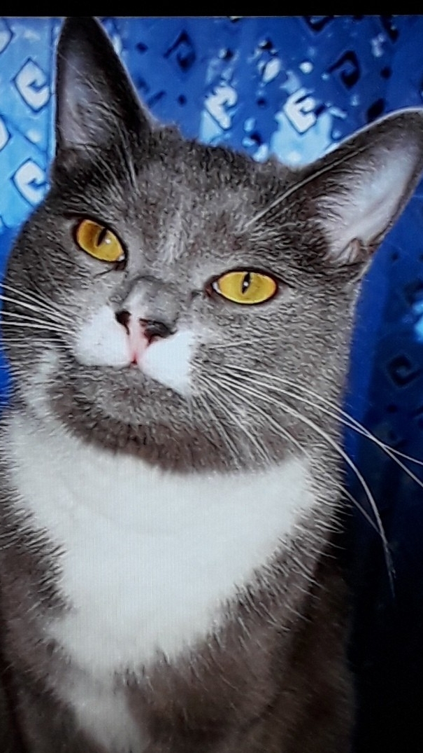 у Косяка на даче смотреть онлайн