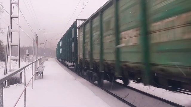 Дал медведя! Тепловоз (Машка) 3М62У-0032 с грузовым поездом на платформе Орзега смотреть онлайн