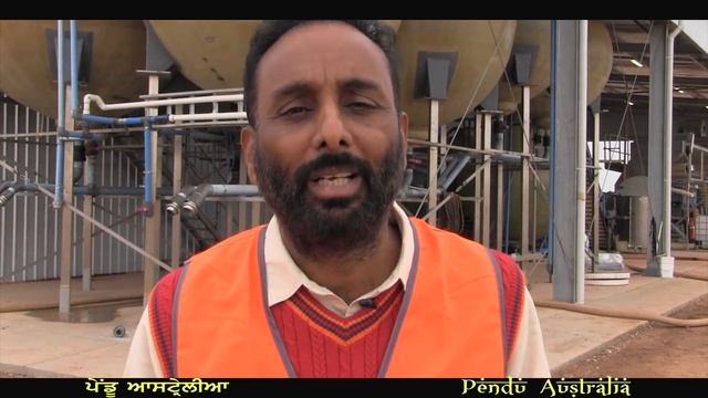 Pendu Australia Episode 44 | Mintu Brar | Olive Oil processing & olive picking | Punjabi Travel Sho смотреть онлайн