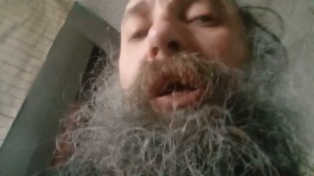 зоомагазины, что в них происходит? смотреть онлайн