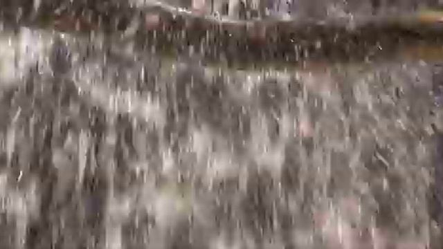 Anaconda Best Scene смотреть онлайн