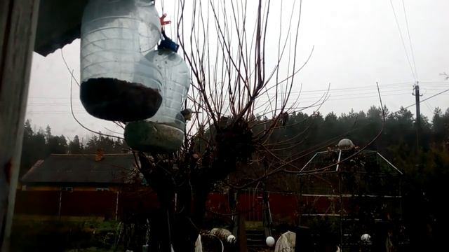Дачные кормушки смотреть онлайн