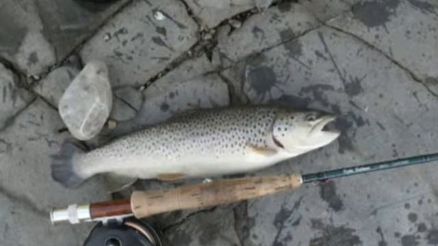 Biały Dunajec 2013 смотреть онлайн