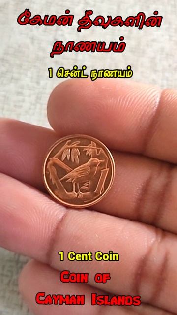 1 Cent Cayman Islands Coin | கேமன் தீவுகளின் நாணயம் | Mr Praba Info смотреть онлайн