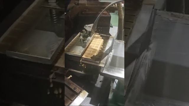 VID-20250131-WA0063.mp4