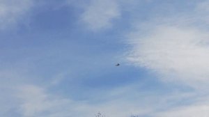 Армянские БОЙНЫЕ ГОЛУБИ в полете! Armenian pigeons IN flight!