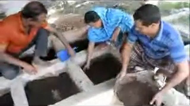 Vermicompost Dae Durgapur,Rajshahi, Motivation by Saao Md.Mokhlesur Rahman смотреть онлайн